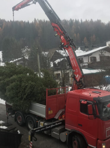 Recupero albero di Natale Padola